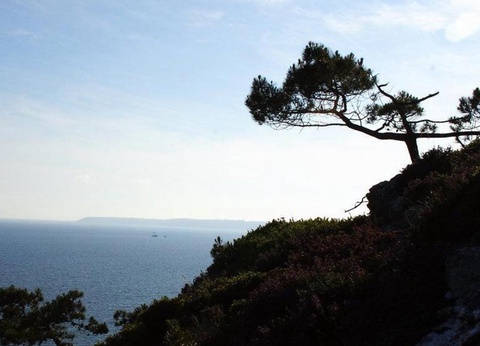 Camping Sites et Paysages - Le Panoramic 4* - 33