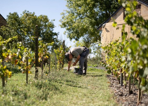 Camping Sites et Paysages - L'Etang de Brissac, 4* - 46