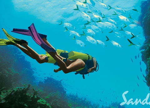 Hôtel Sandals Montego Bay 5* - 9