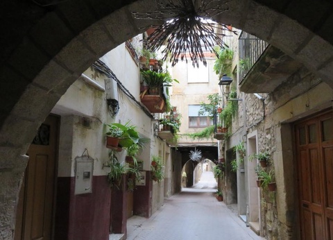 Camping Terra Alta, 3* - 29