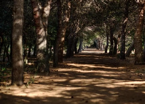 Camping La Masseria, 4* - 73