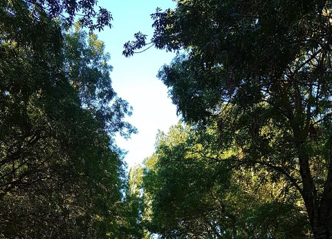 Camping Les 2 Salamandres, 2* - 39