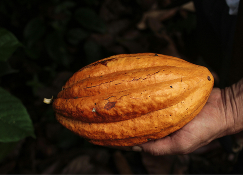 Circuit Guatemala, Sur la Piste du Quetzal et Belize - 18