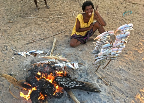 Circuit L'île rouge au fil de l'eau - 23