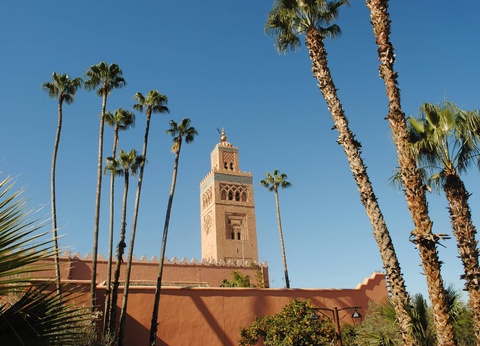 Circuit Voyage aux mille couleurs : Marrakech, Bin El Ouidane et Agafay - 11