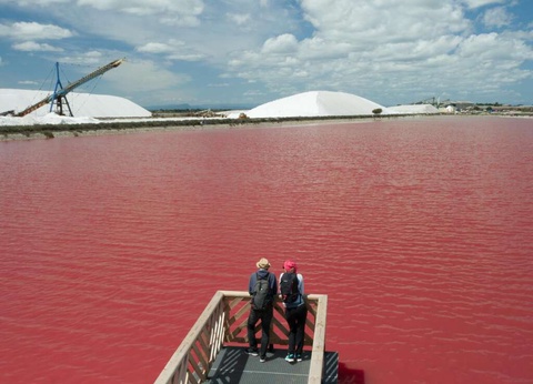 ÉVasion culinaire à Aigues-Mortes avec accès au spa - 3* - 25