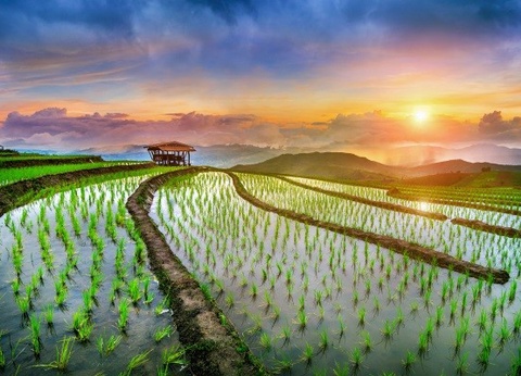 Combiné circuit et hôtel Beautés de Thaïlande + extension Framissima Kalima Resort Khao Lak - 16