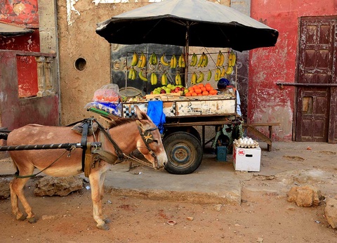 Circuit Saveurs du Sénégal - 4