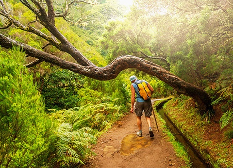Circuit Madère Authentique : entre falaises et levadas *** - 19