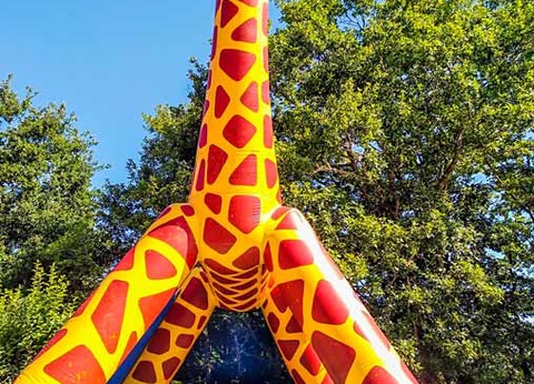 Camping Le Lac aux oiseaux - 2