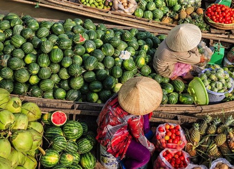 LA CANTATE EXT HALONG PT PRINCIPAL CAT HUBLOT - 11