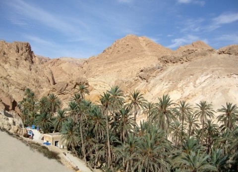 Combiné circuit et hôtel Circuit Plage au Framissima Golf Beach Djerba et désert de Tozeur **** - 19