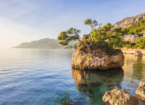 Hôtel Bluesun Hotel Soline 4* - 7