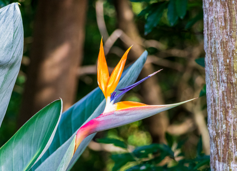 Circuit Aventures Australes, de l'Afrique du Sud au Botswana - 3