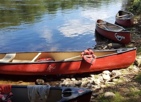 Camping Le Saulou, 3* - 10