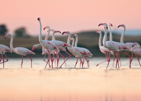 Circuit Autotour l'Essentiel de la Sardaigne 4* - 11