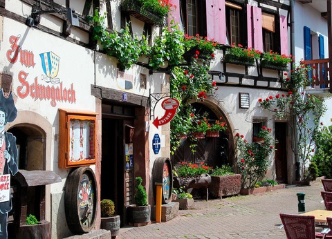 Découverte sur la Route des Vins à Obernai 4* - 15