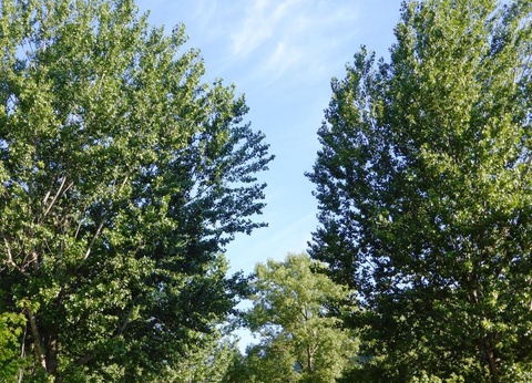 Camping Lou Gourdan, 3* - 18