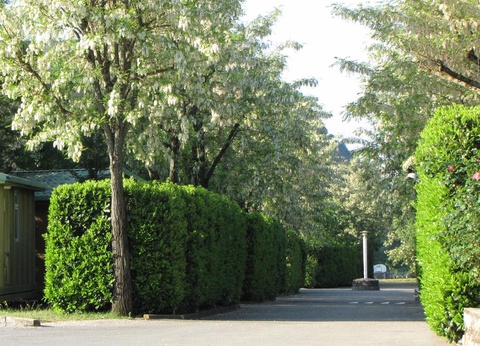 Flower Camping Le Plan d'eau 3* - 27