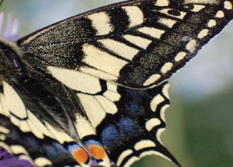 Camping Village Paestum, 4* - 59