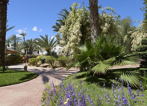 Séjour Kitesurf Hôtel Djerba Resort 4*, Stage 3 demi-journées - 15