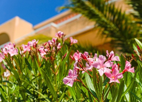 Résidence Lagrange Villa Barbara - 5