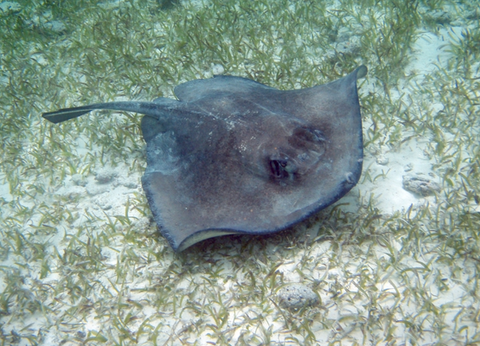 Circuit Guatemala, Sur la Piste du Quetzal et Belize - 38