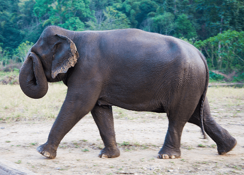 Circuit Trésors de Thaïlande et plage à Krabi 4* - 5