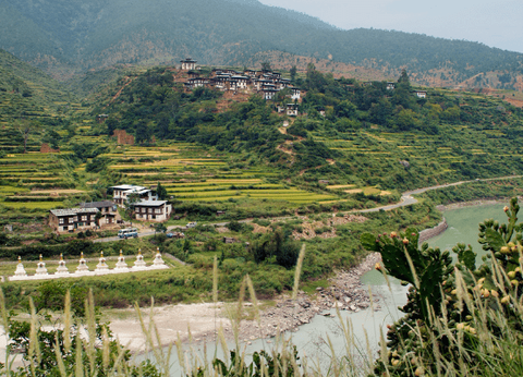 Circuit Sur la route du Taj Mahal au Bhoutan - 23