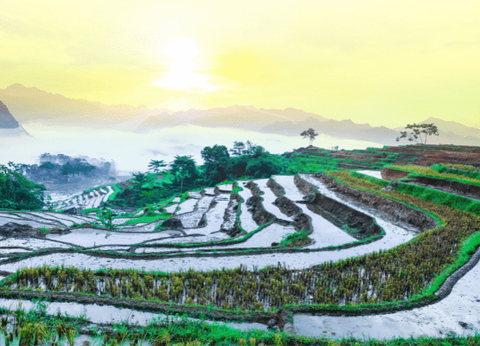 Circuit Des Rizières de Mai Chau à la Baie d'Halong - 14