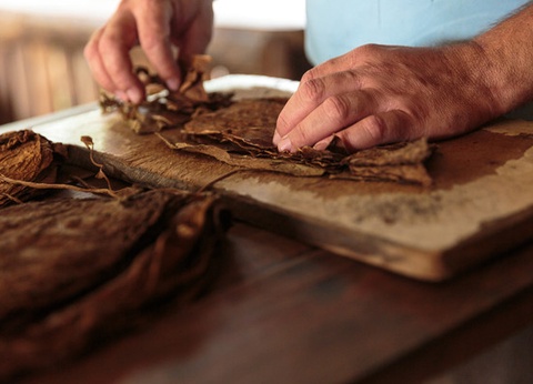 Circuit Perle des Caraïbes (circuit privatif) - 7
