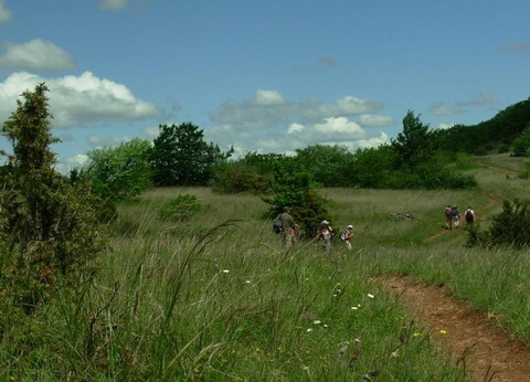 Ushuaia Villages Port de Lacombe, 3* - 65