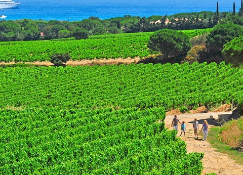 Camping Domaine des Naiades, 5* - 36