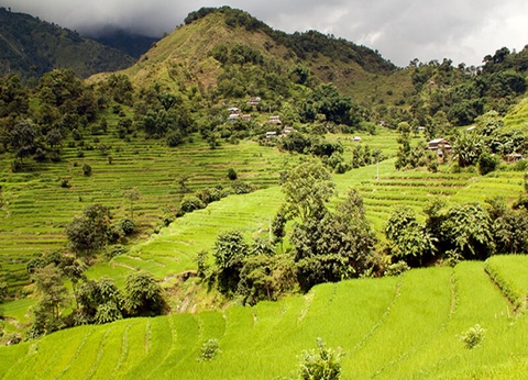 Circuit Trek et Rencontres en Anapurna - 9