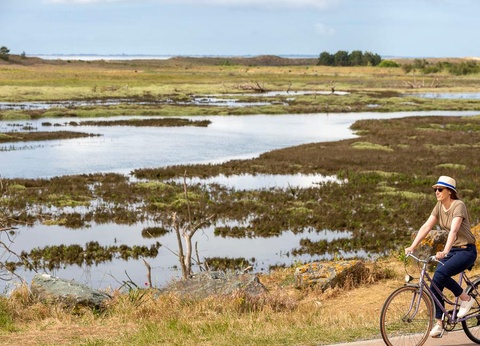 Camping Romanée - La Belle Henriette, 4* - 12