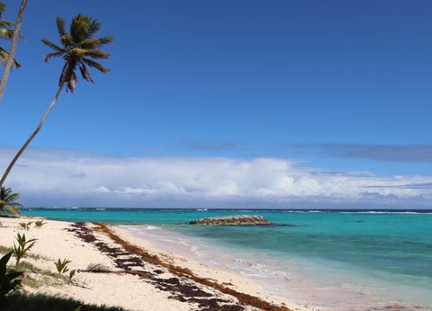 Circuit Perles de Guadeloupe et plage du Framissima Evasion Arawak Beach Resort **** - 7