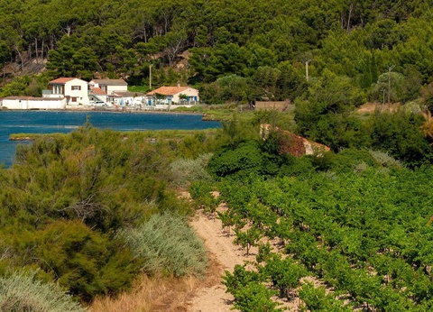 Camping Ensoya, 3* - 24