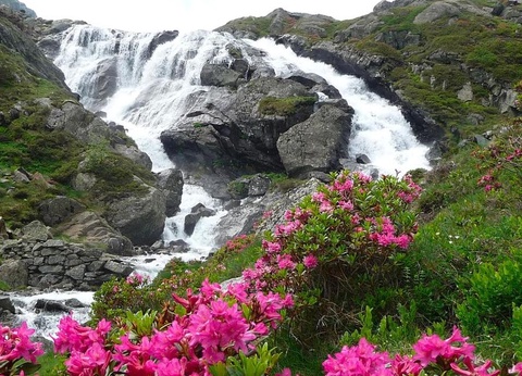 Flower Camping La Bexanelle, 4* - 28