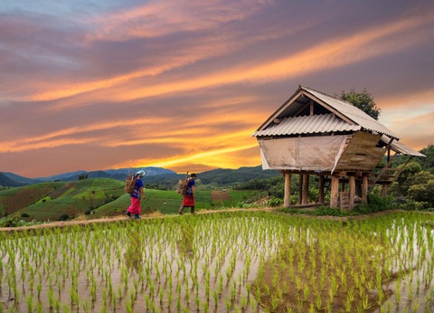 Circuit Privatif Trésors d'Asie - Vietnam, Laos & Thaïlande - 30