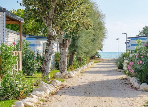 Stork Family Camping Village, 4* - 18