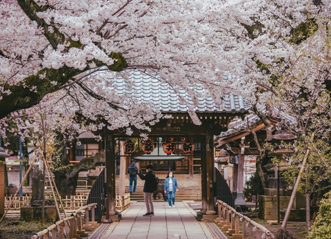 Aventure Japon : Circuit Individuel avec Universal & Warner Studios - 17