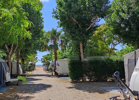 Camping Alannia Els Prats - 67