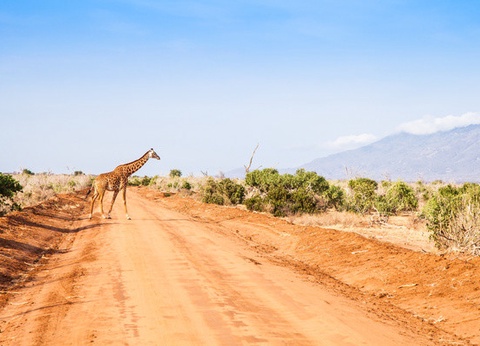 Combiné Circuit et Hôtel Papillon Lagoon Reef 3* - 2