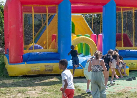 Flower Camping Vitamin, 4* - 16