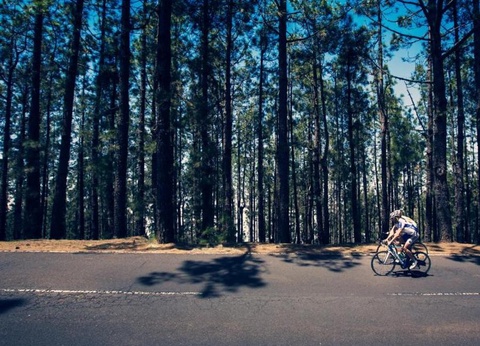 Camping Globo Barcelona, 4* - 13