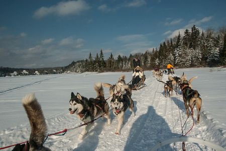 Splendeurs du Québec en hiver 8J/6N - 12