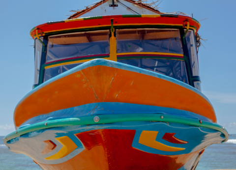 Circuit Sri Lanka Signature : Nature, Culture et Luxe - 18