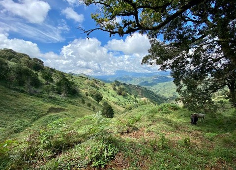 Circuit Explorations du Costa Rica et Extension Parc National de Tortuguero - 9