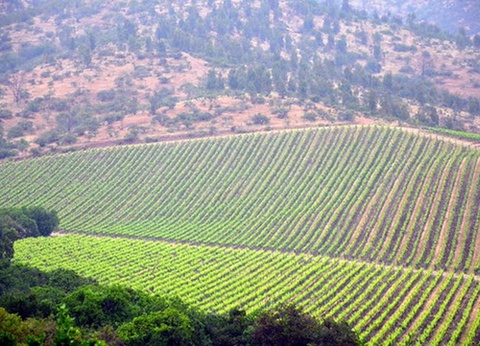 Road Trip Echappée Chilienne - 15