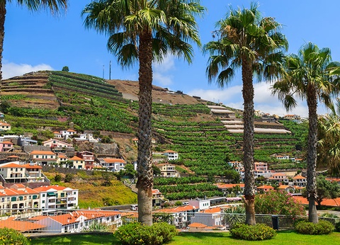 Circuit Aventuriers de Madère + Vila Gale Santa Cruz 4* - 10